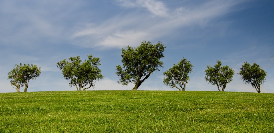 Environmental Management System Benefits