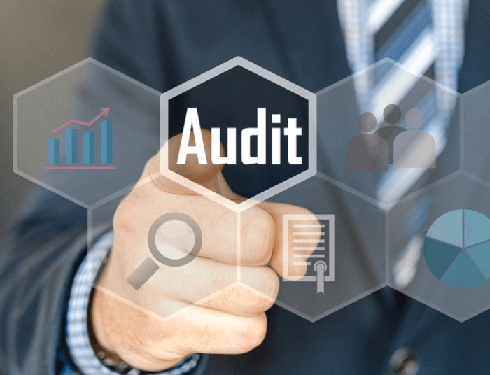 Internal quality audit